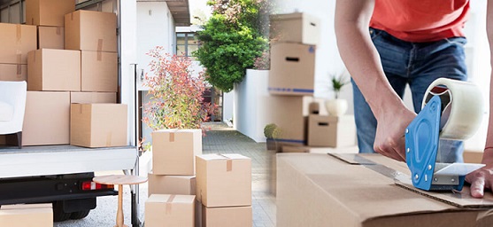 Packers and Movers in Dwarka